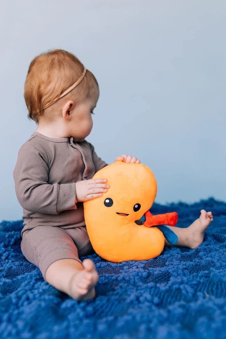 nerdbugs Kidney Plush – Friendly Urology Gift for Transplant, Dialysis Recovery & Donor Appreciation