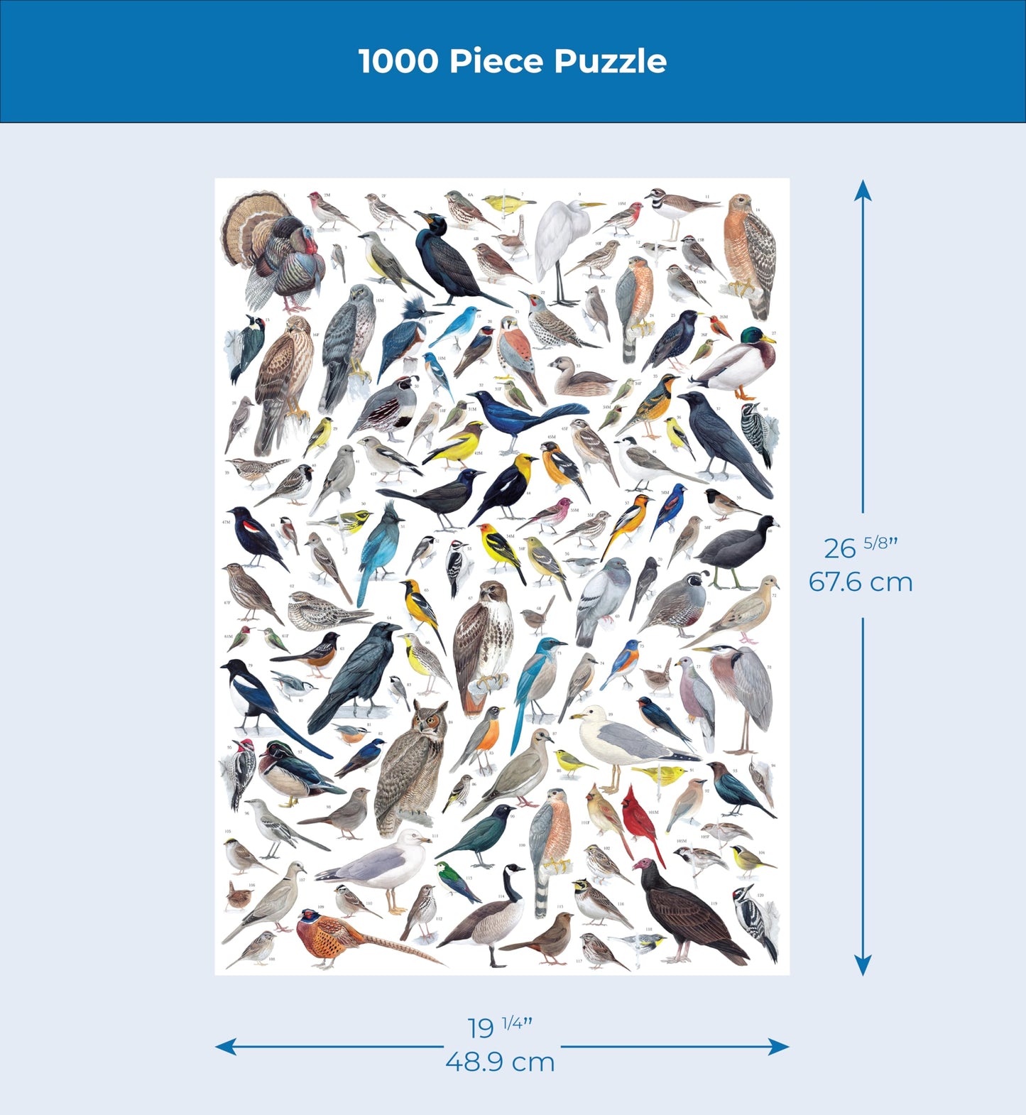 New York Puzzle Company - Cornell Lab Birds of Western North America - 1000 Piece Puzzle