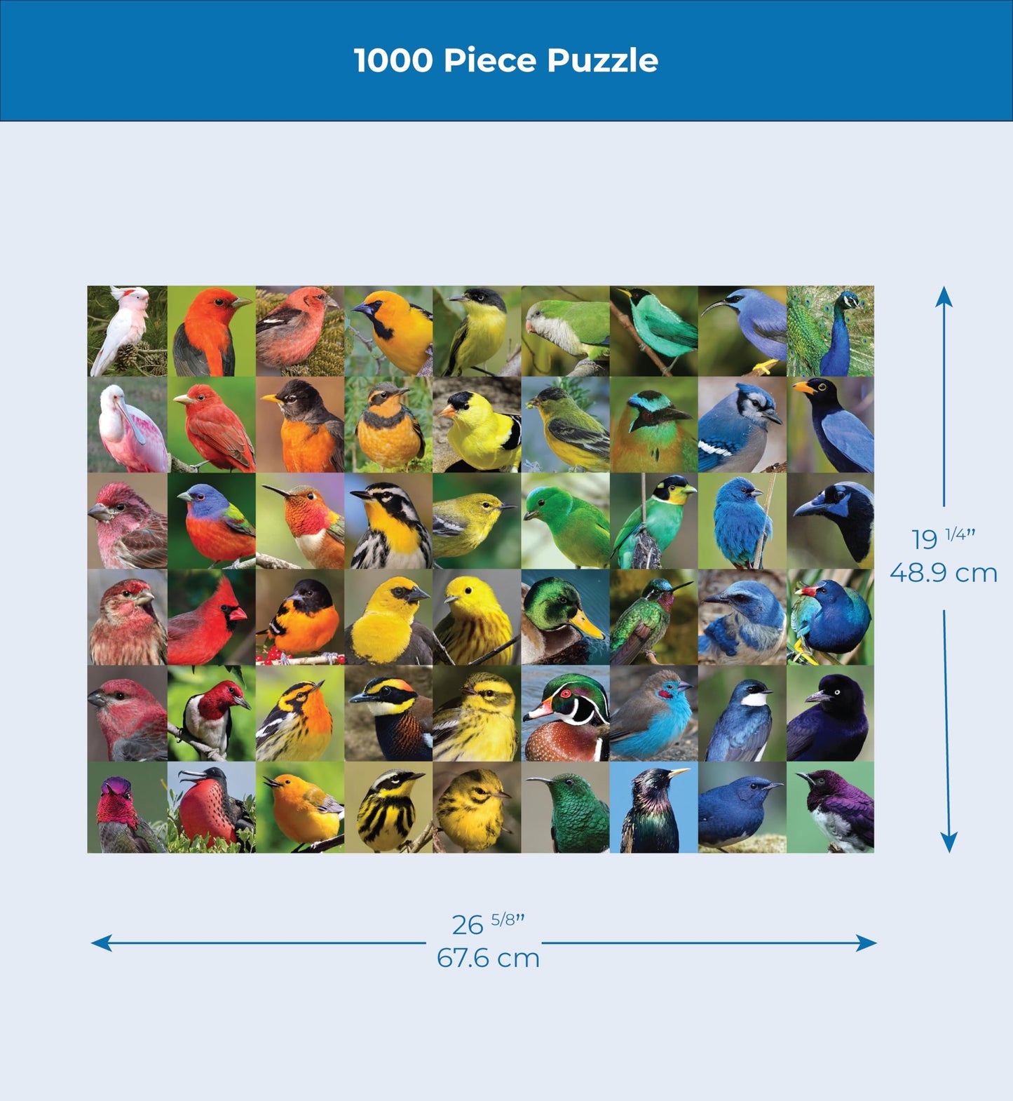 New York Puzzle Company - Cornell Lab Rainbow of Birds 1000-Piece Puzzle for Adults