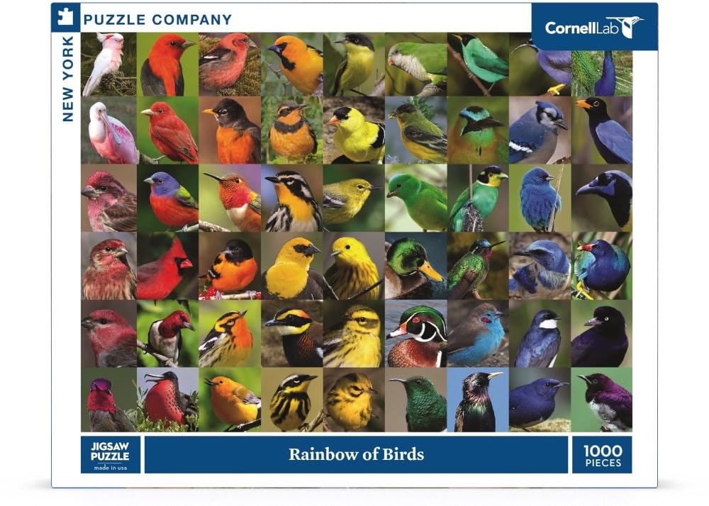 New York Puzzle Company - Cornell Lab Rainbow of Birds 1000-Piece Puzzle for Adults
