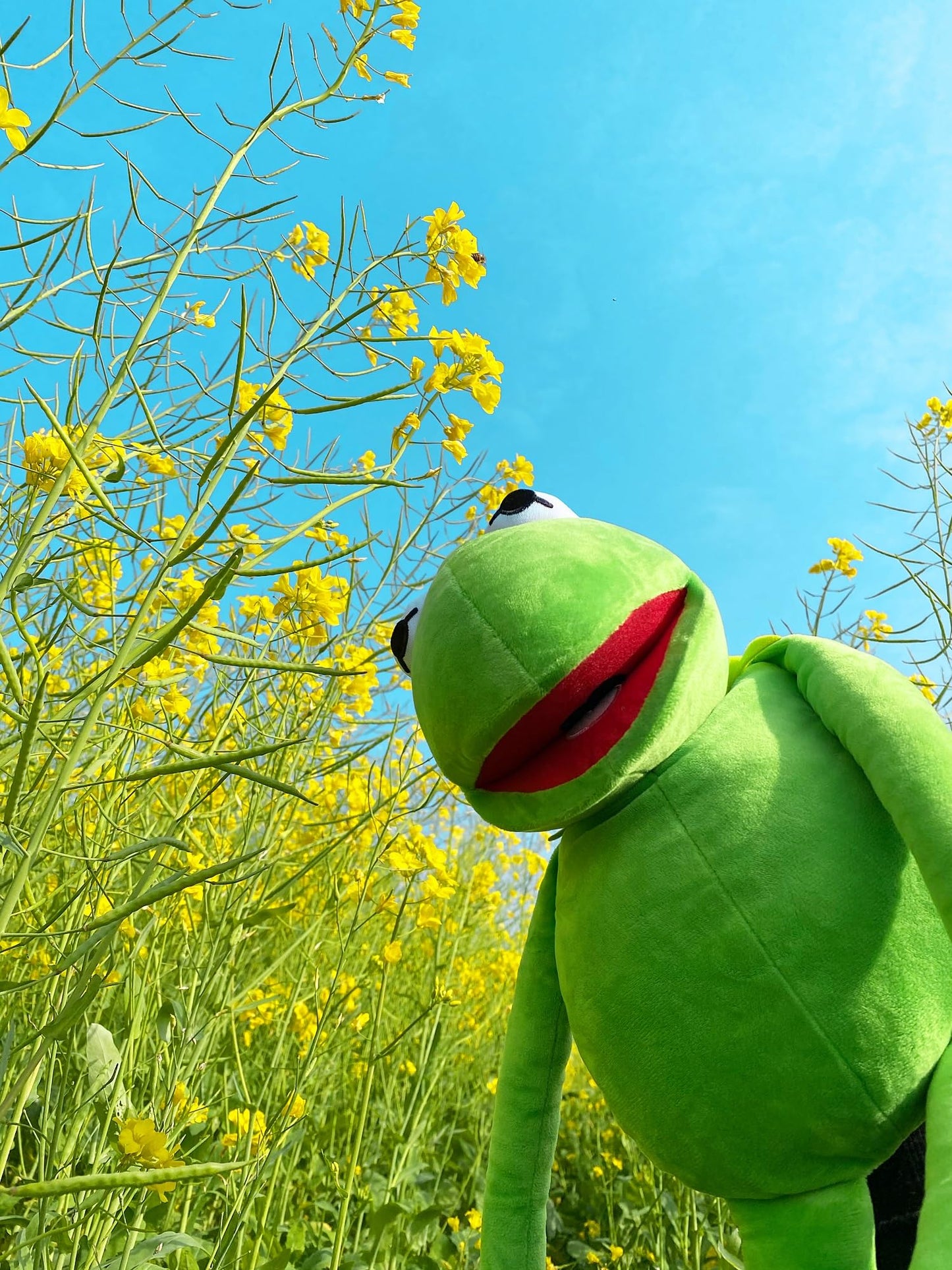 NICERINC Kermit Frog Puppet - The Muppets Show Hand Plush, 60cm