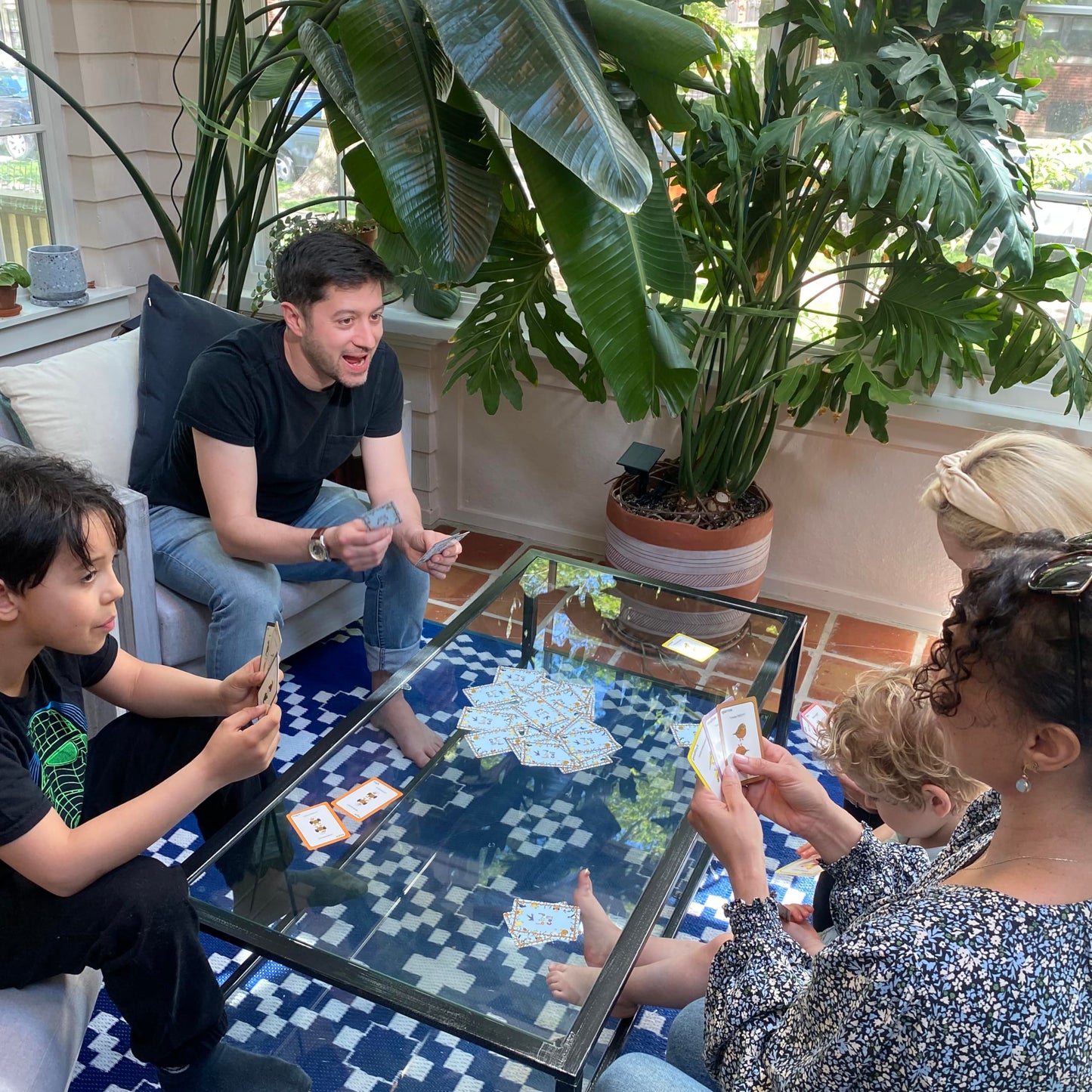 Bird Call by Niche Nation Games — Lively 5-Minute Party Card Game for 3-8 Players