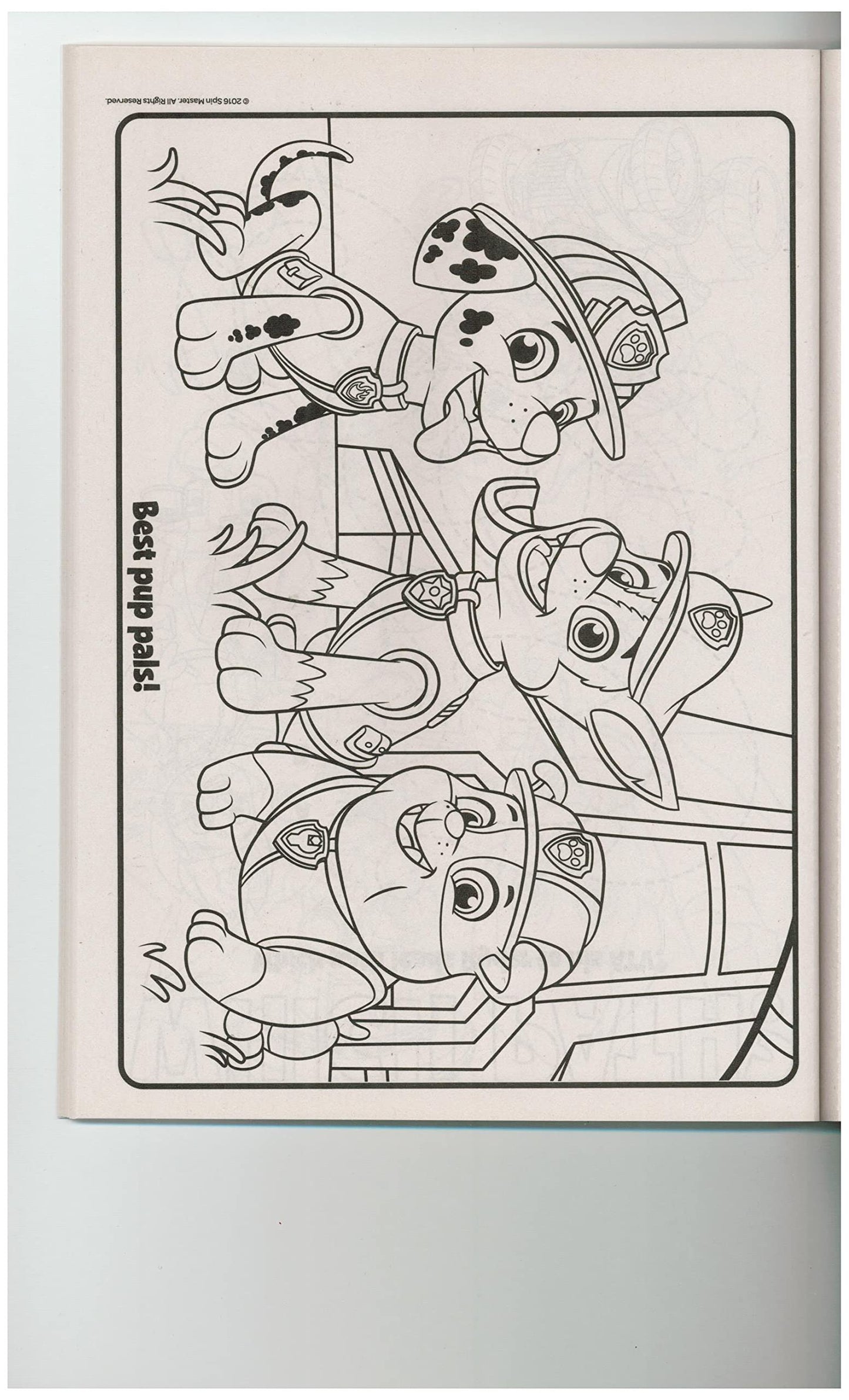 Nickelodeon Paw Patrol Coloring Books - 2 Pack (96 Pages Each)