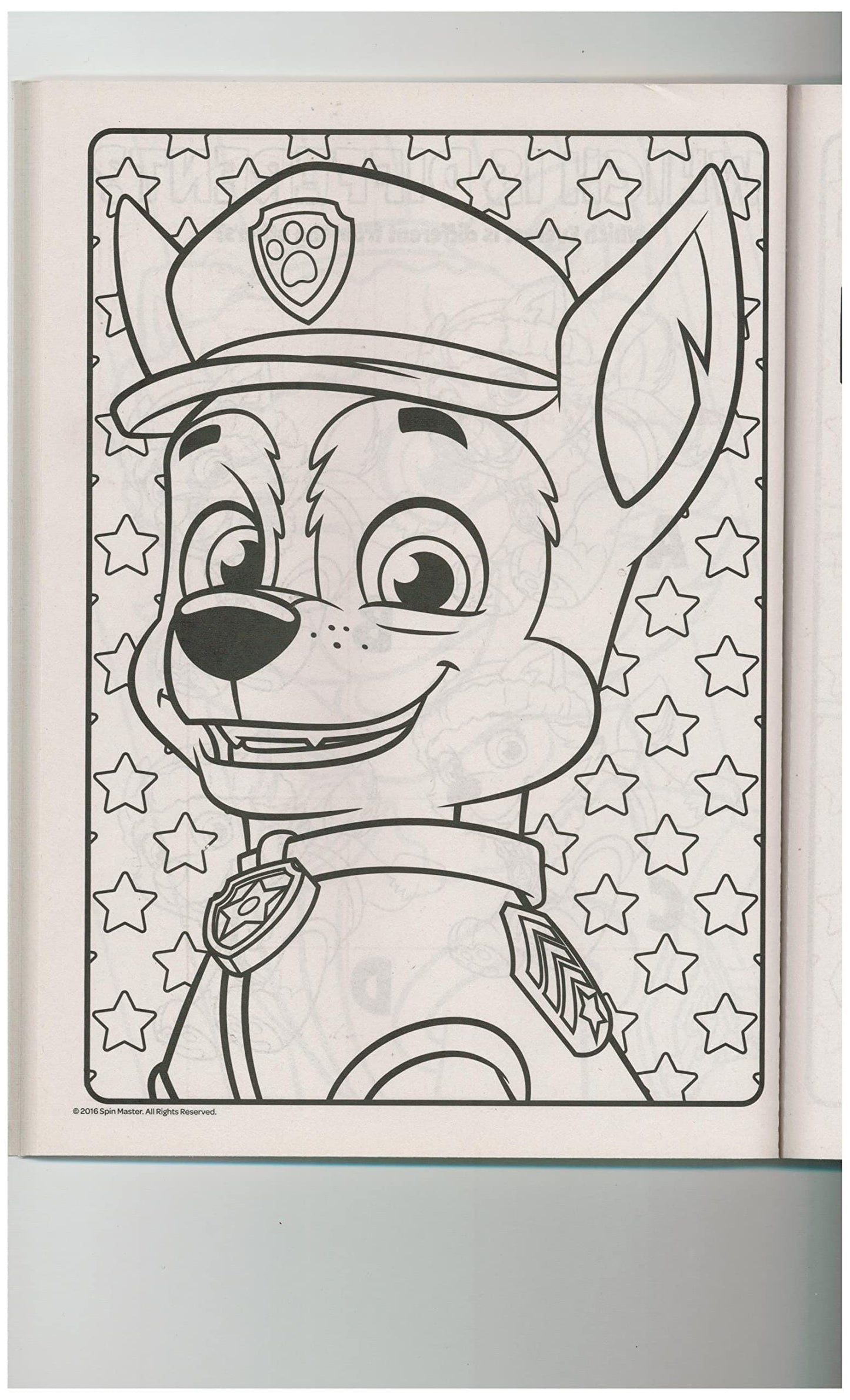 Nickelodeon Paw Patrol Coloring Books - 2 Pack (96 Pages Each)