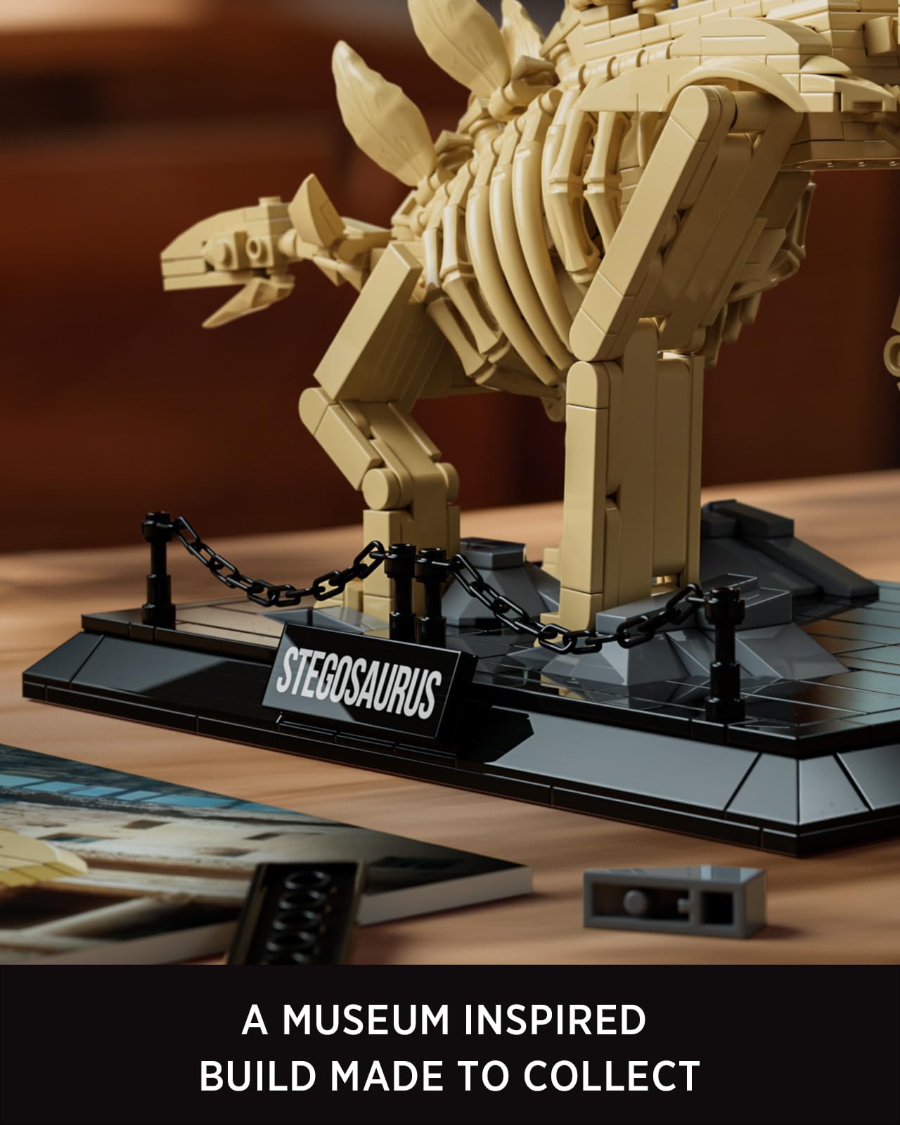 Nifeliz Stegosaurus Fossils Model Set – 665 PCS, Adult Skeleton Display NF10353