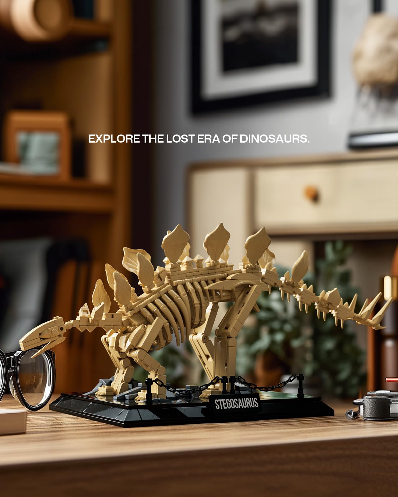 Nifeliz Stegosaurus Fossils Model Set – 665 PCS, Adult Skeleton Display NF10353
