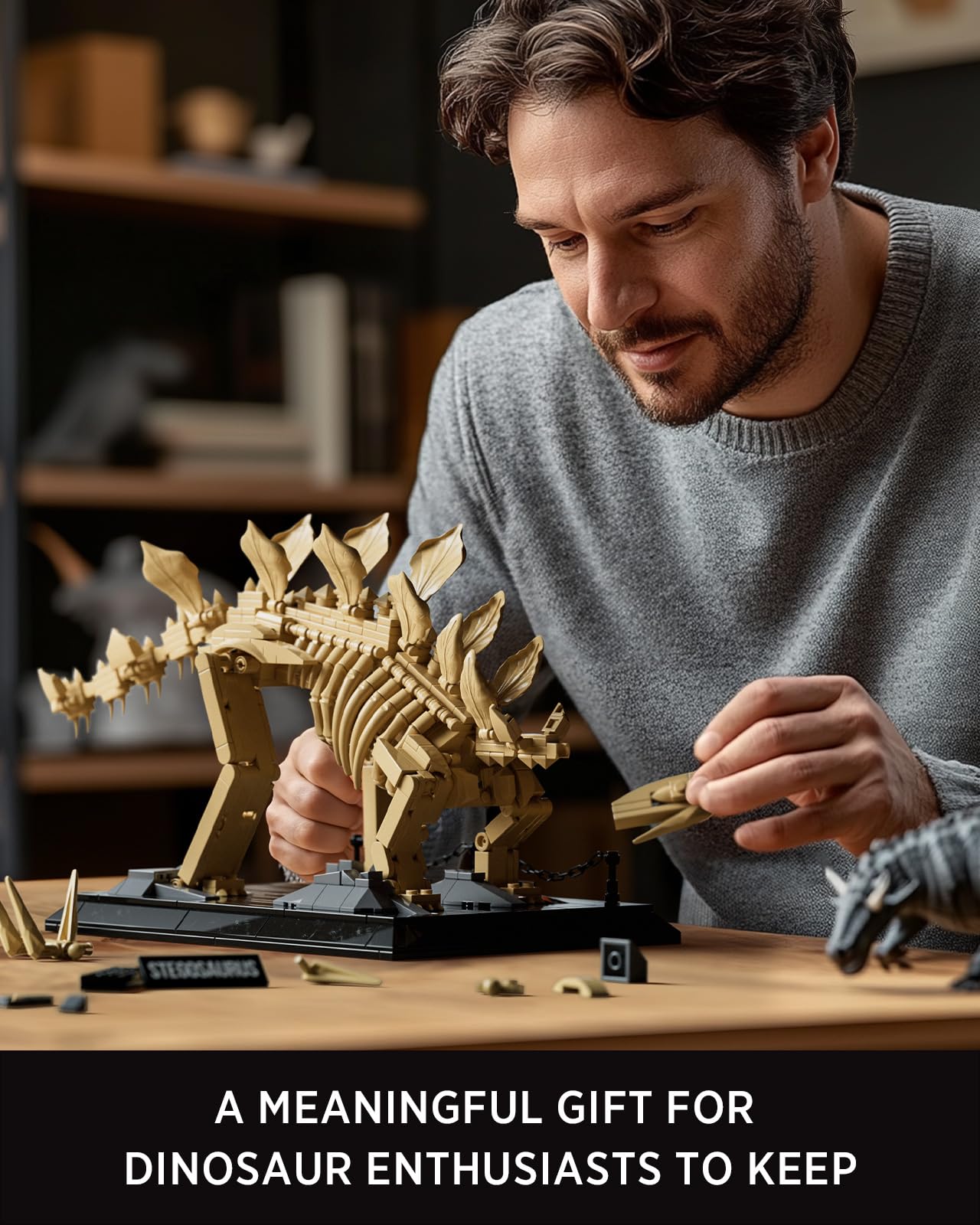 Nifeliz Stegosaurus Fossils Model Set – 665 PCS, Adult Skeleton Display NF10353