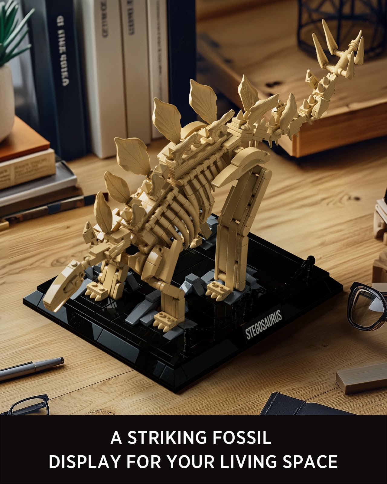 Nifeliz Stegosaurus Fossils Model Set – 665 PCS, Adult Skeleton Display NF10353