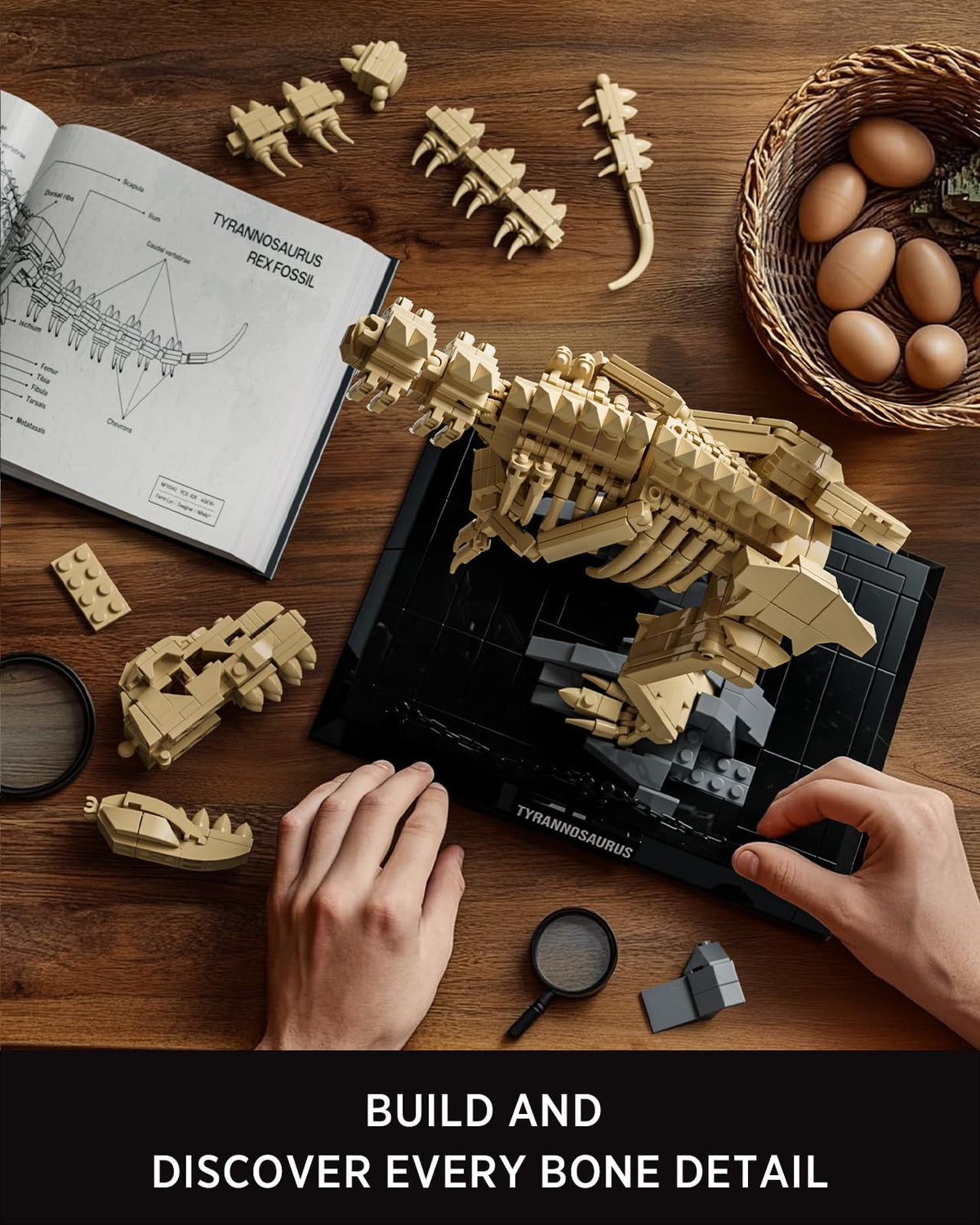 Nifeliz T. Rex Fossils Model — 826-Piece Skeleton (NF10343)