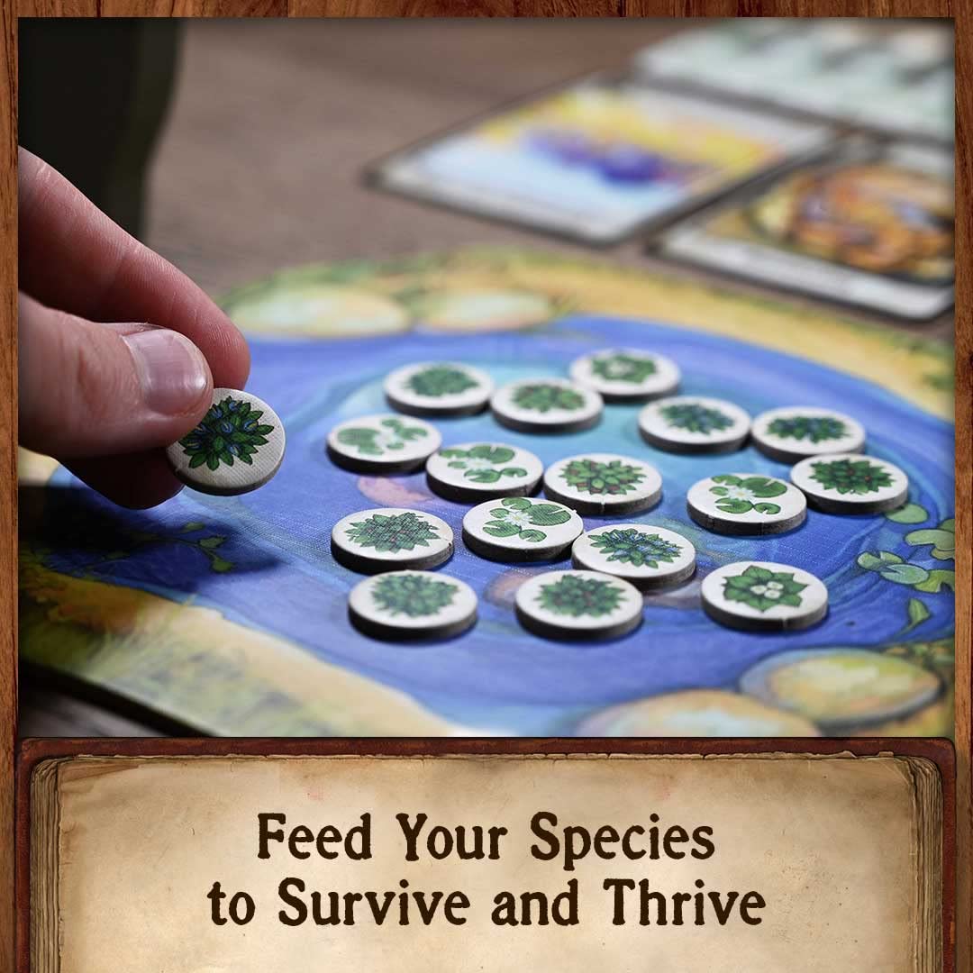 North Star Games - Northstar Game Studio Evolution Board Game | Create Species & Strategy for 2-6 Players (Ages 12+)