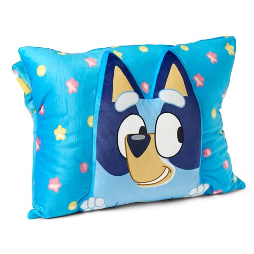 Northwest Bluey Party Pups Silk Touch Throw Blanket + Plush Pocket Pillow (50x60 in & 14x20 in)