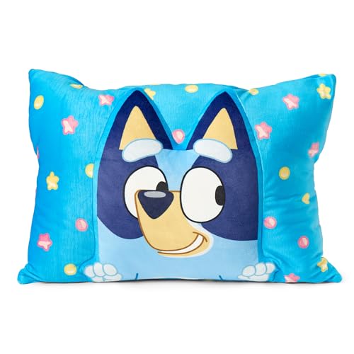 Northwest Bluey Party Pups Silk Touch Throw Blanket + Plush Pocket Pillow (50x60 in & 14x20 in)
