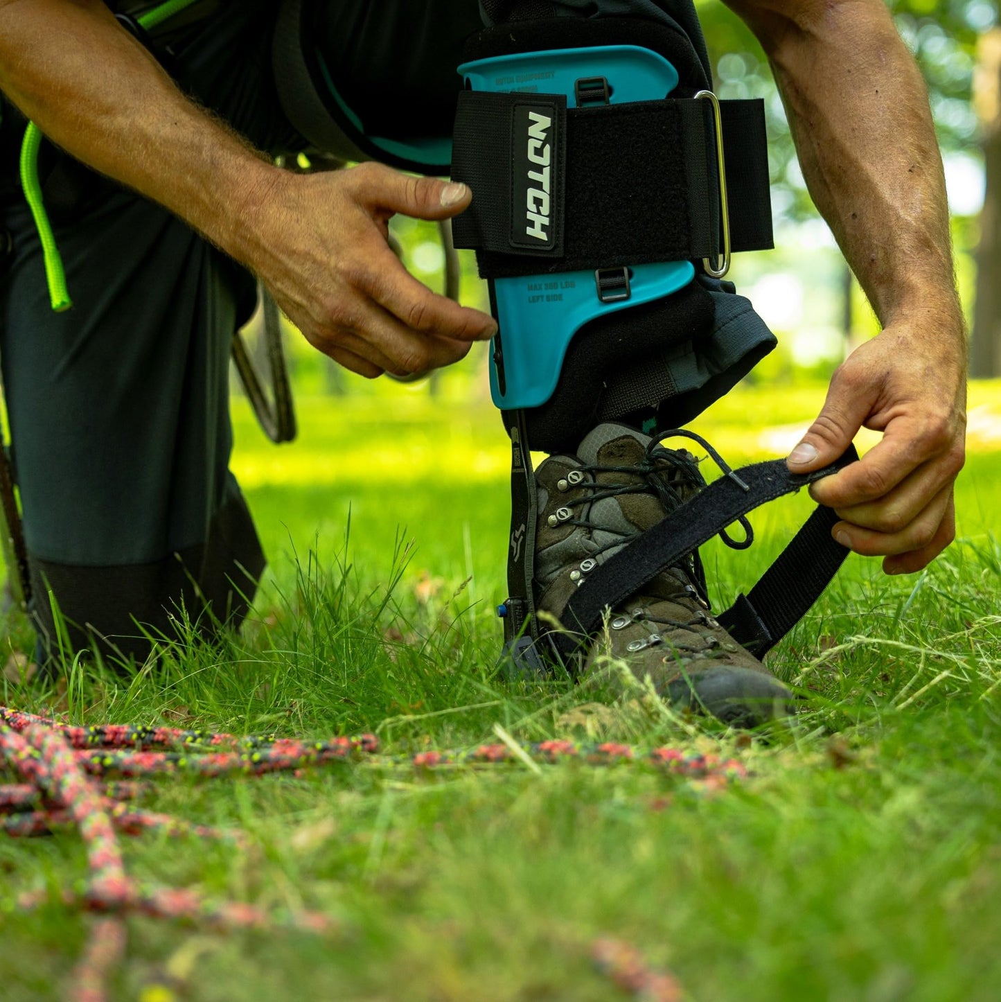Notch Steel Climbers Ergonomic Tree Gaffs — 20+ Cuff Adjustments, Stirrup Grip Pad, Dual Foot Strap, 350 lb Capacity (99695T)