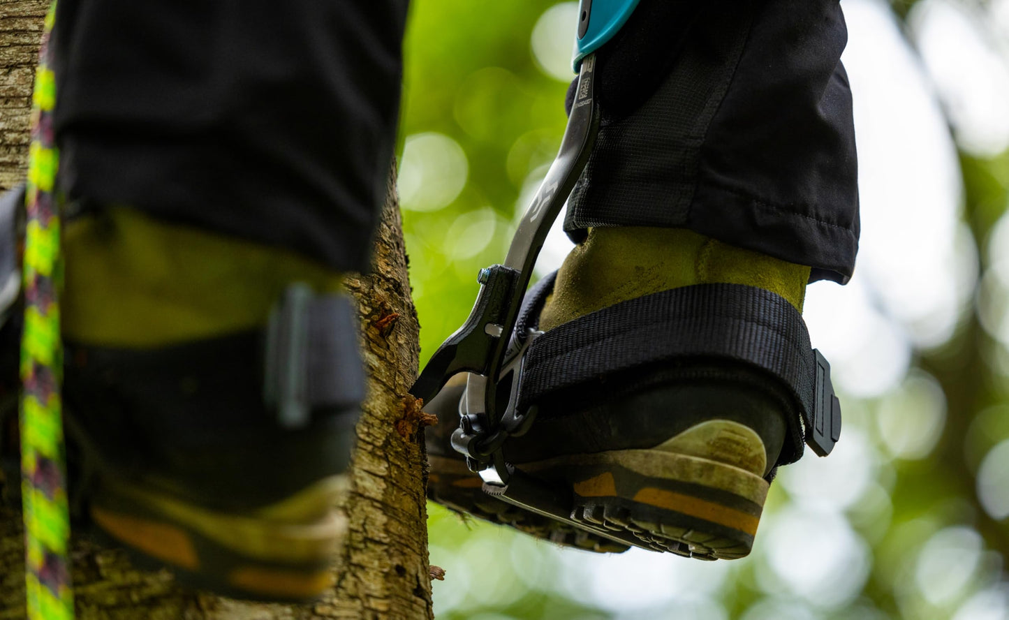 Notch Steel Climbers Ergonomic Tree Gaffs — 20+ Cuff Adjustments, Stirrup Grip Pad, Dual Foot Strap, 350 lb Capacity (99695T)