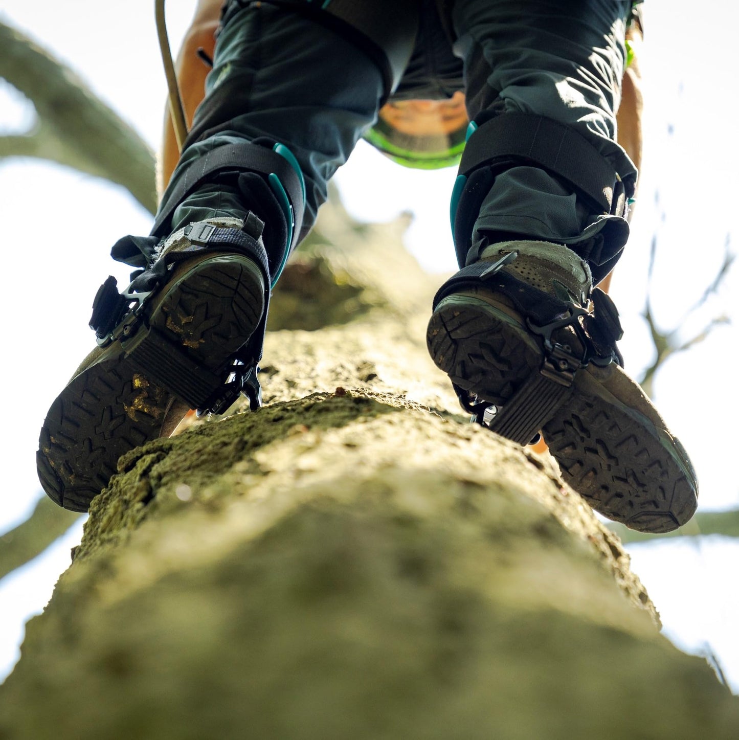 Notch Steel Climbers Ergonomic Tree Gaffs — 20+ Cuff Adjustments, Stirrup Grip Pad, Dual Foot Strap, 350 lb Capacity (99695T)