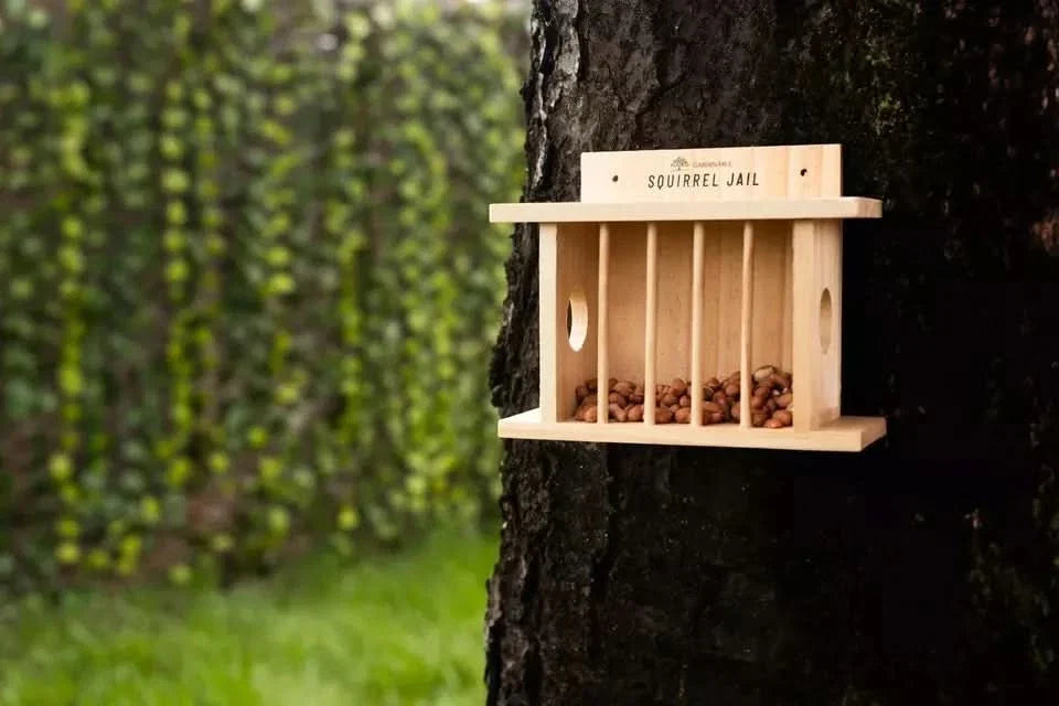 Wooden Bird and Squirrel Feeder Hanging Wildlife Feeding Station