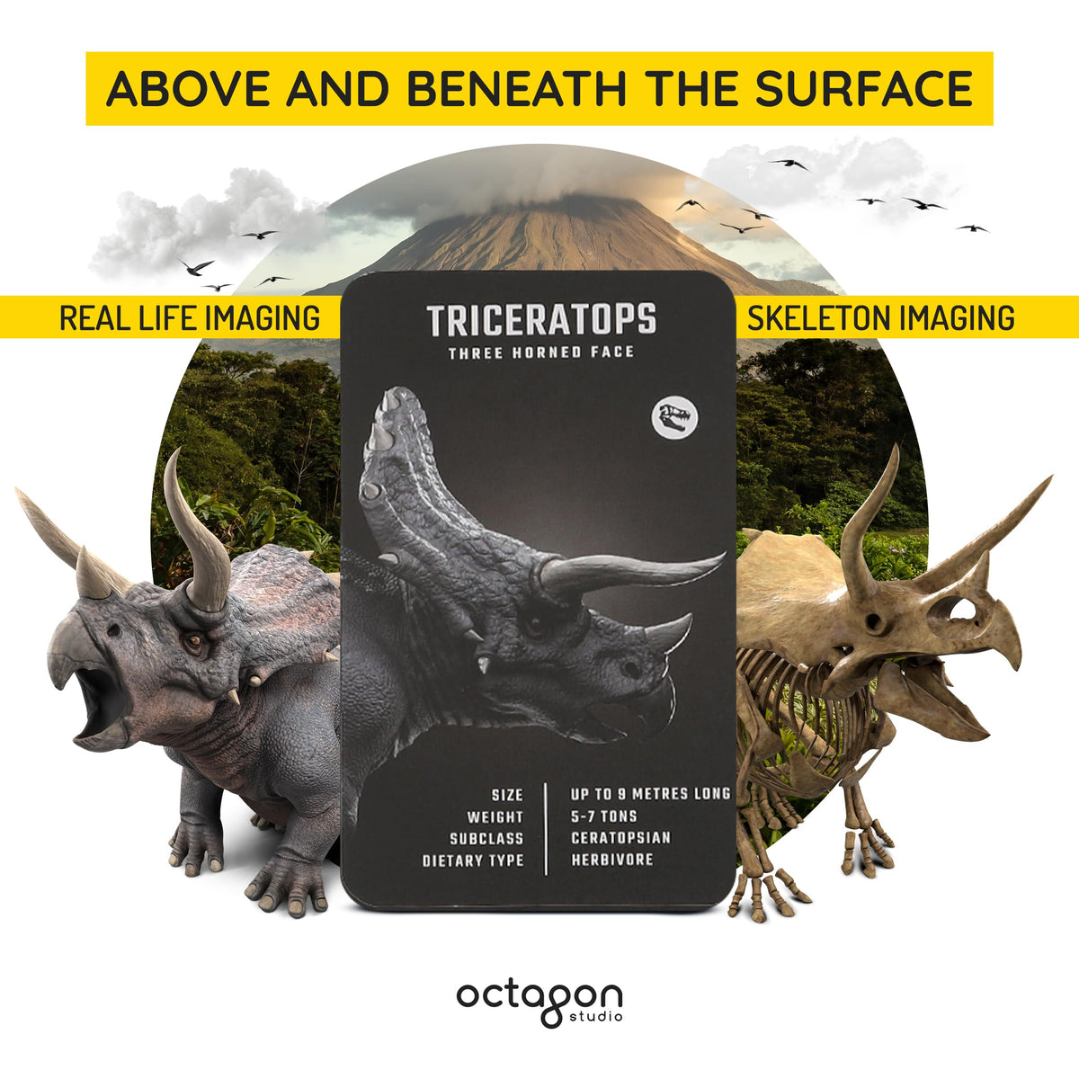Octagon Studio Dinosaur 4D+ AR Flashcards – Interactive 3D T-Rex & 20 Prehistoric Creatures