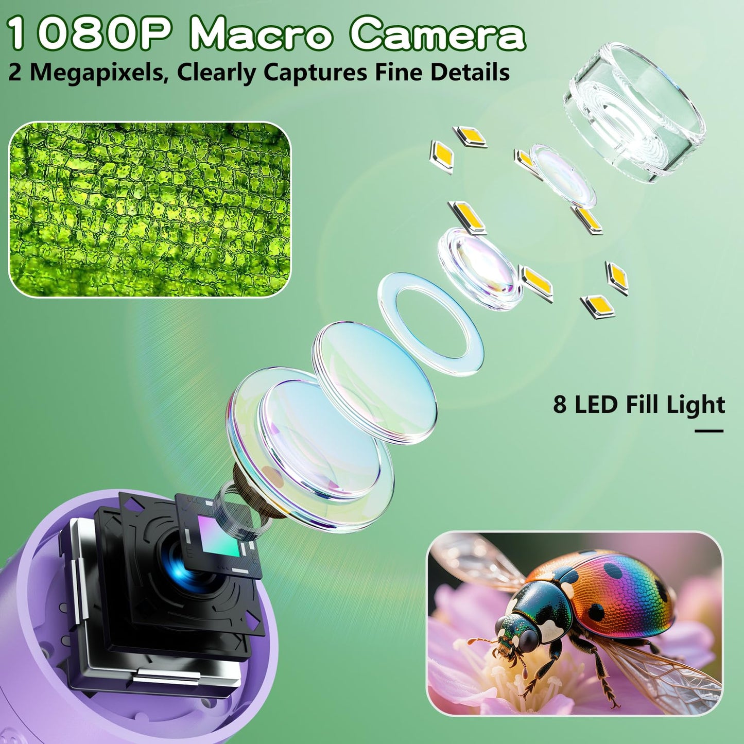 Odatay Microscope for Kids – 100X–1000X Digital Handheld Microscope with 12 Slides (Purple)