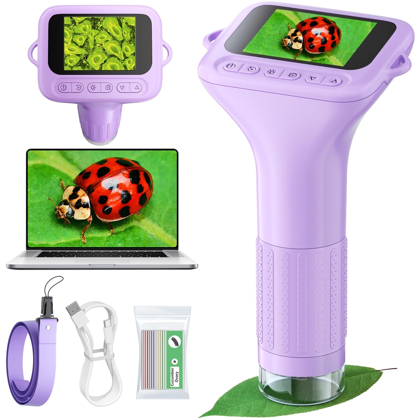 Odatay Microscope for Kids – 100X–1000X Digital Handheld Microscope with 12 Slides (Purple)