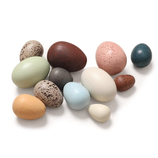 OESSUF Wooden Eggs Set – 12-Piece Beech Wood Easter Eggs for Toddlers | Pretend Play & Decor