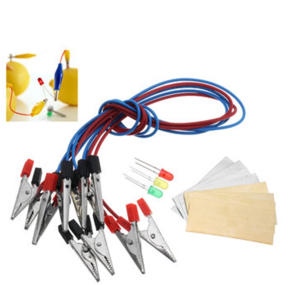 Ologymart Fruit Battery LED Science Kit – Lemon & Citrus Power Experiment