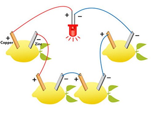 Ologymart Fruit Battery LED Science Kit – Lemon & Citrus Power Experiment