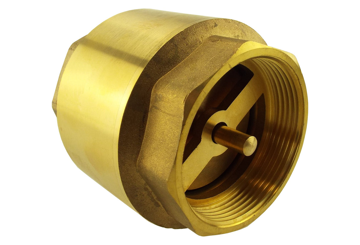 Brass Spring Check Valve 1" BSPF