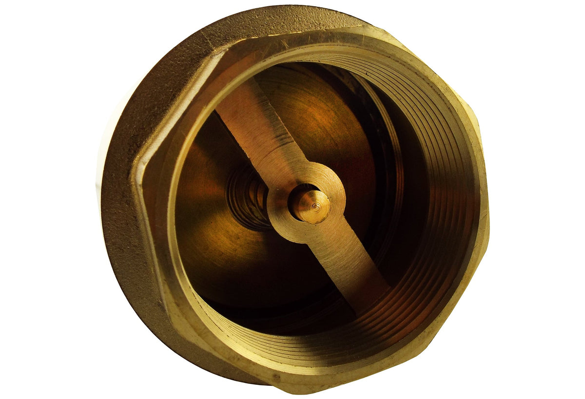 Brass Spring Check Valve 1.25" BSPF