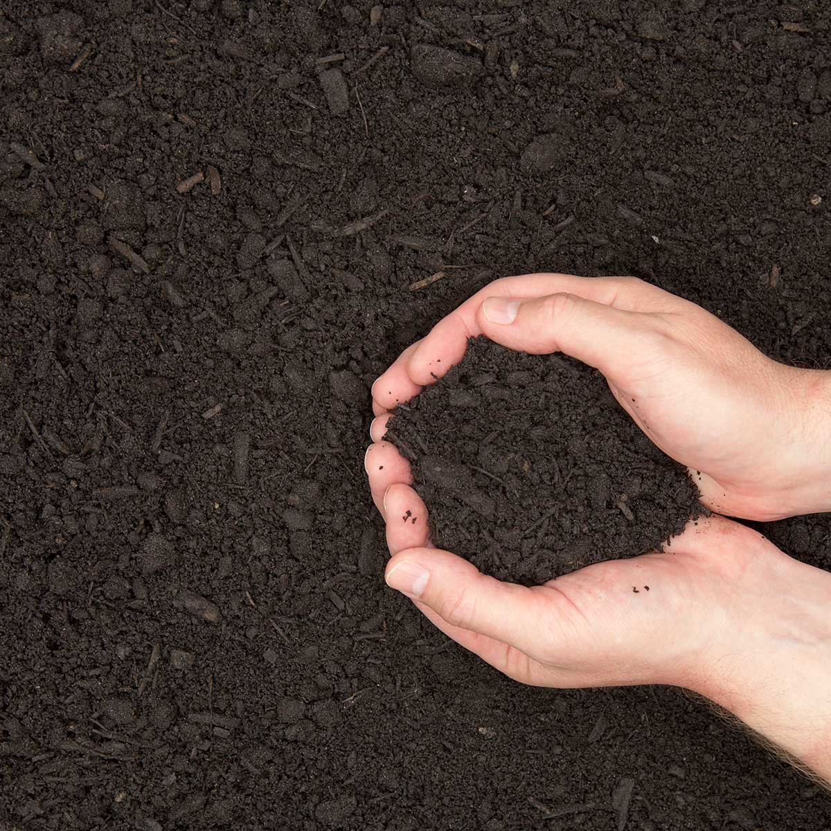 Organic Garden Compost 50L.