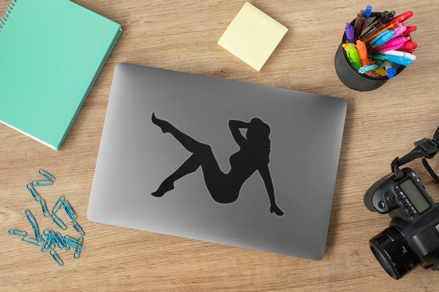 Pin Up Girl Sticker