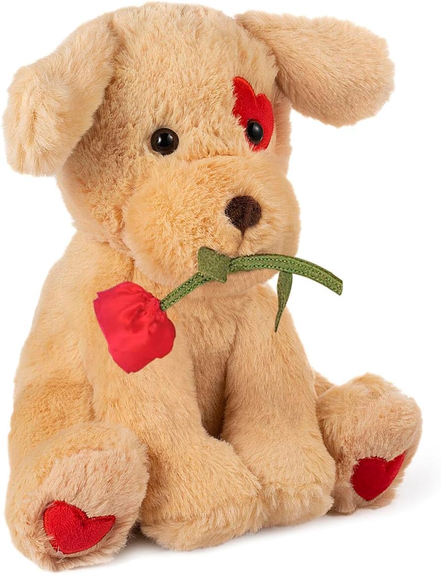 Oukiwi 10 Inch Valentine's Stuffed Animal Dog – Gift Idea (Style C)
