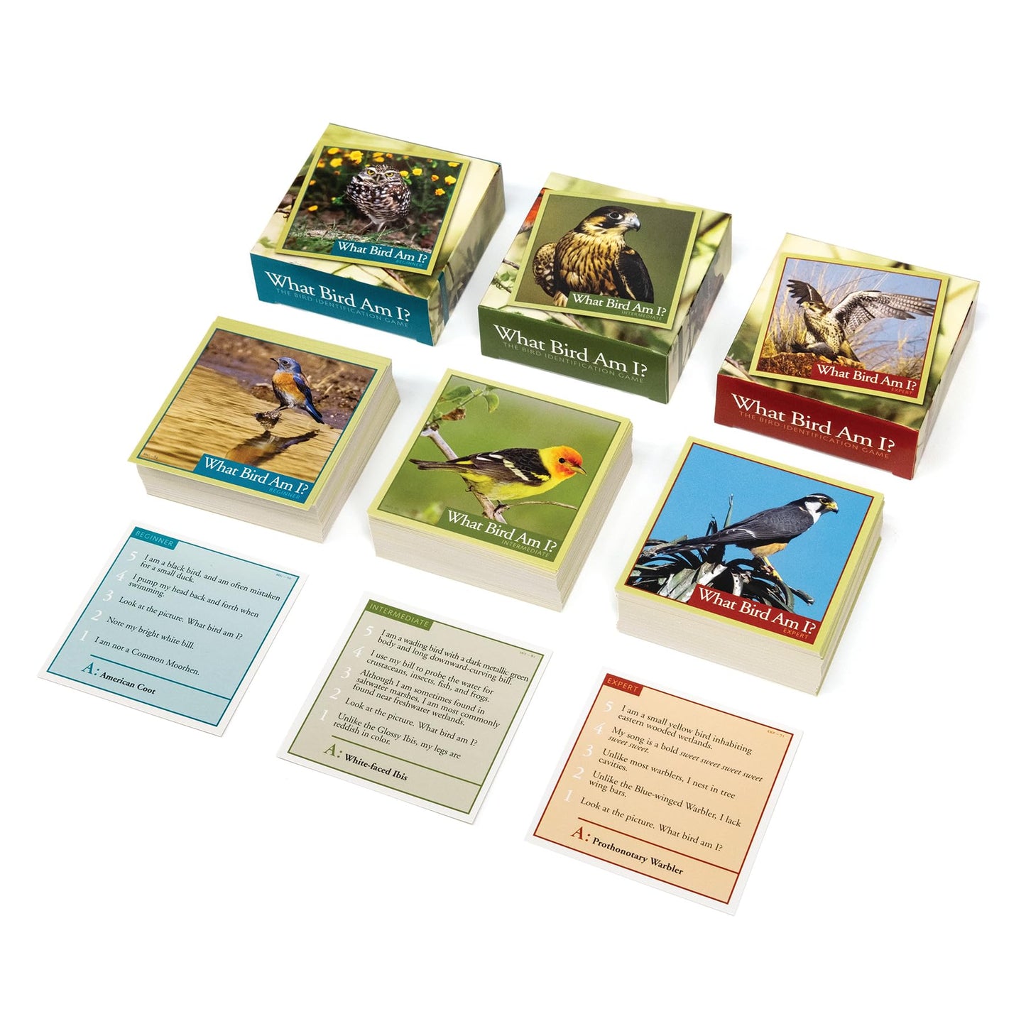 Outset Media What Bird Am I? – Bird Identification Game with 300 Cards (Ages 14+)