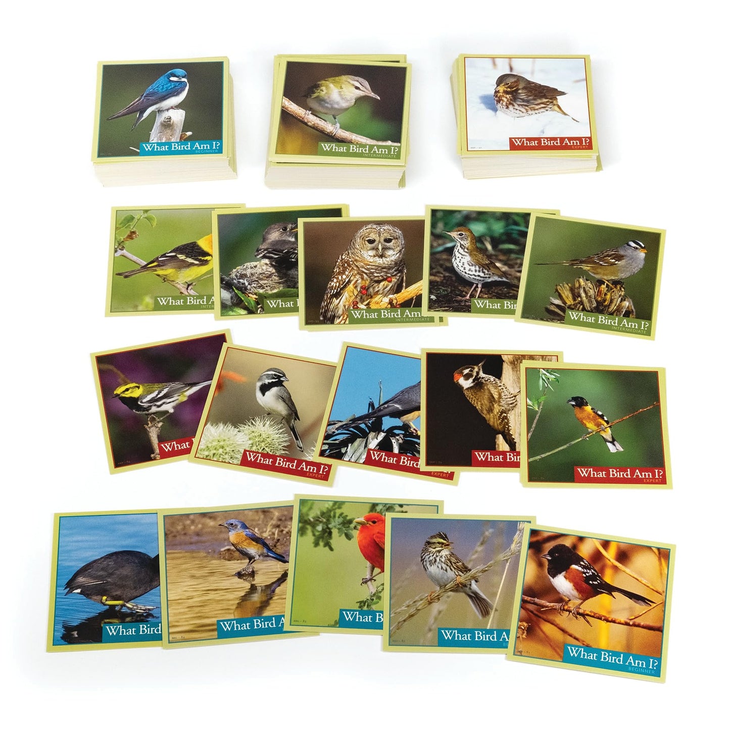 Outset Media What Bird Am I? – Bird Identification Game with 300 Cards (Ages 14+)
