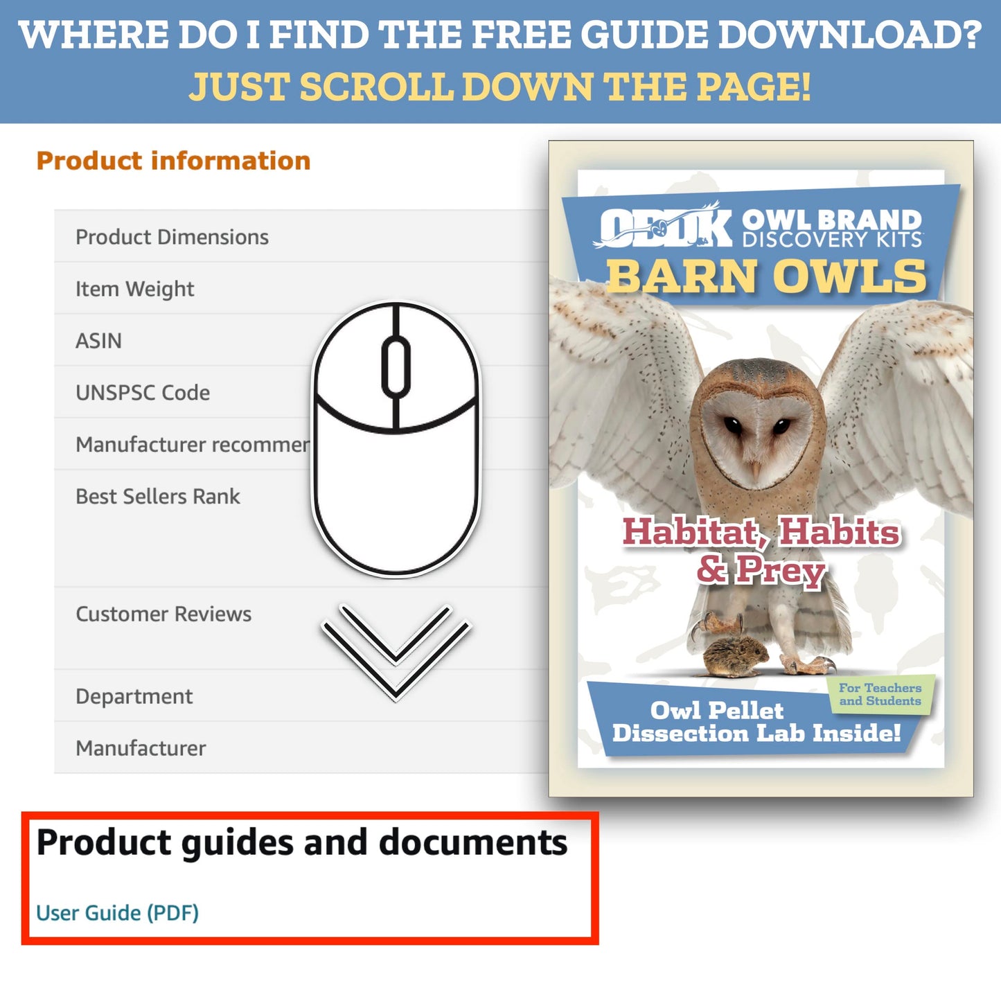 Barn Owl Pellets for Dissection - 1 Pack (1.5-2.0 in) with Tools & Bone Chart | Owl Brand Discovery Kits