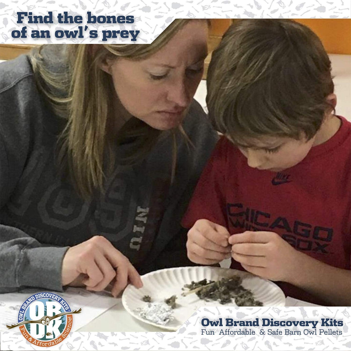 Barn Owl Pellets for Dissection - 1 Pack (1.5-2.0 in) with Tools & Bone Chart | Owl Brand Discovery Kits