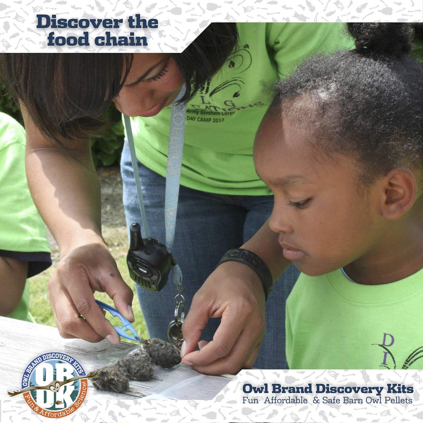 Barn Owl Pellets for Dissection - 1 Pack (1.5-2.0 in) with Tools & Bone Chart | Owl Brand Discovery Kits