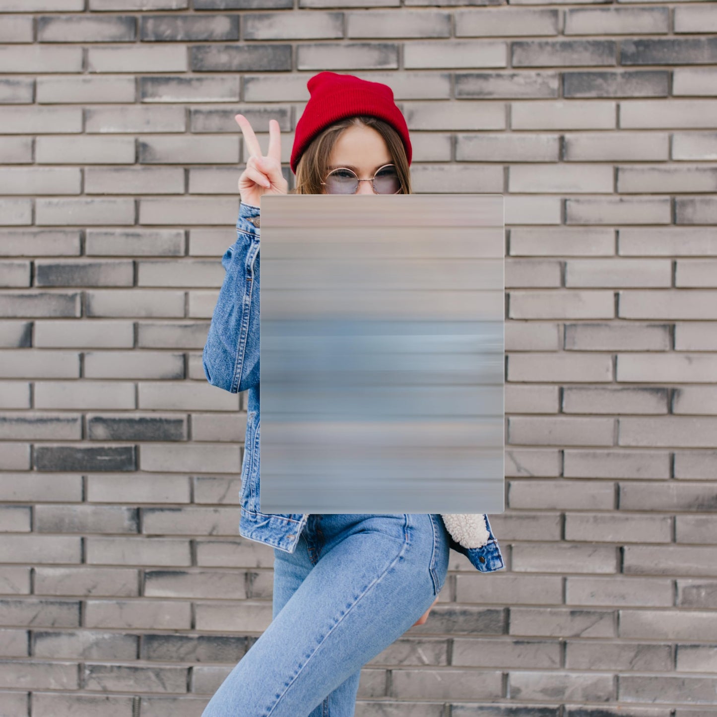 OWLHAUS Invisibility Shield 17x13 — Lenticular Lens, Transparent Handle, Easy Assembly