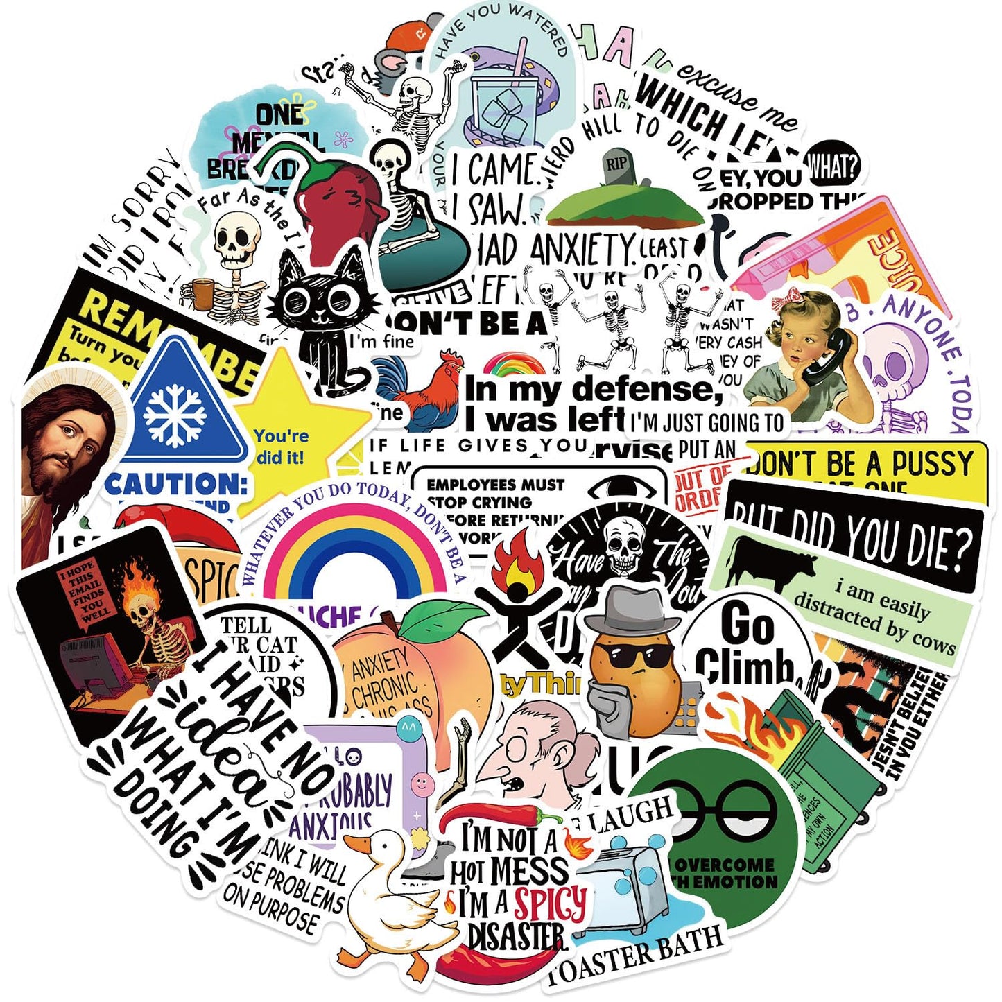 OYALAE 50Pcs Funny Adults Stickers Bulk – Waterproof Vinyl Prank Meme Decals for Laptops and Water Bottles