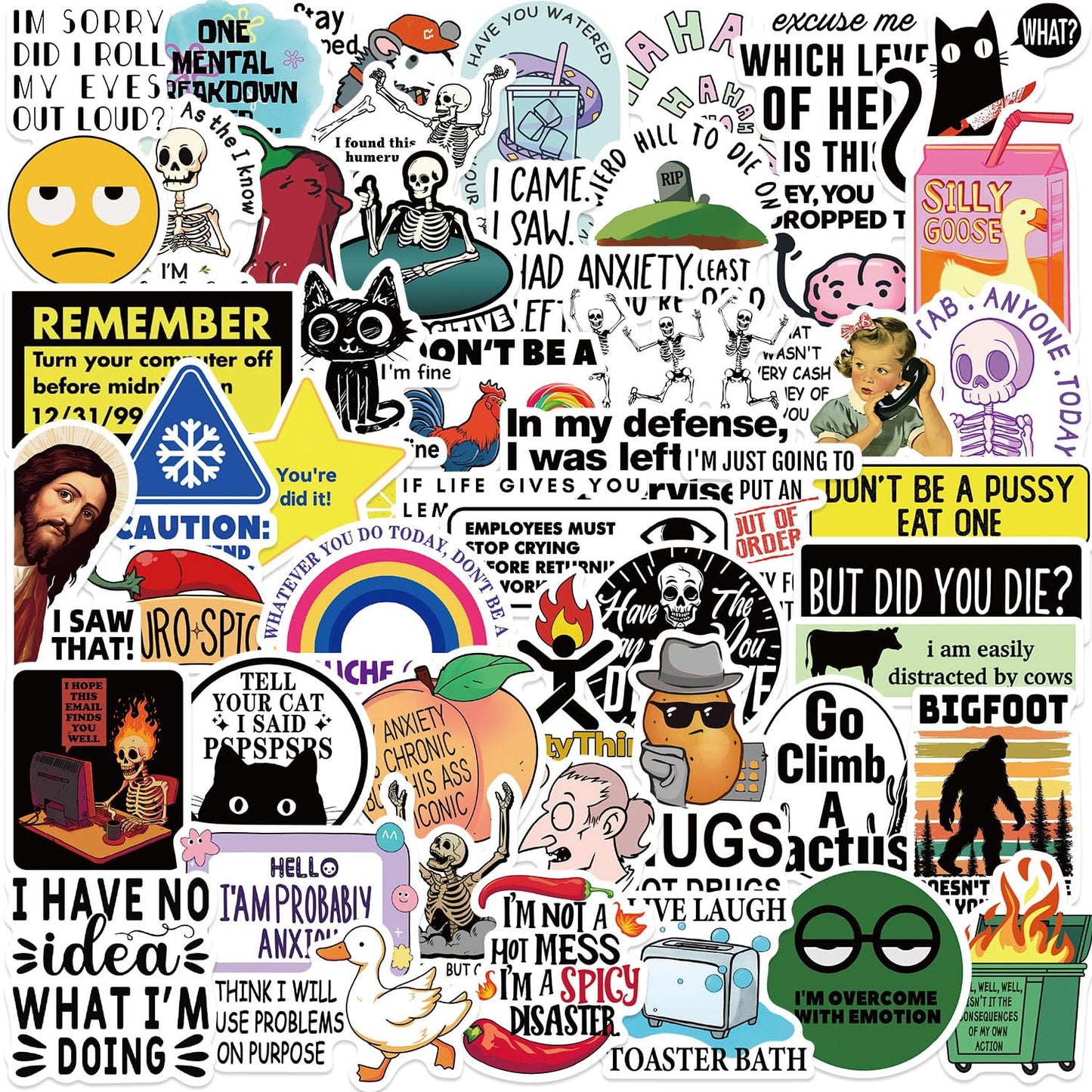 OYALAE 50Pcs Funny Adults Stickers Bulk – Waterproof Vinyl Prank Meme Decals for Laptops and Water Bottles
