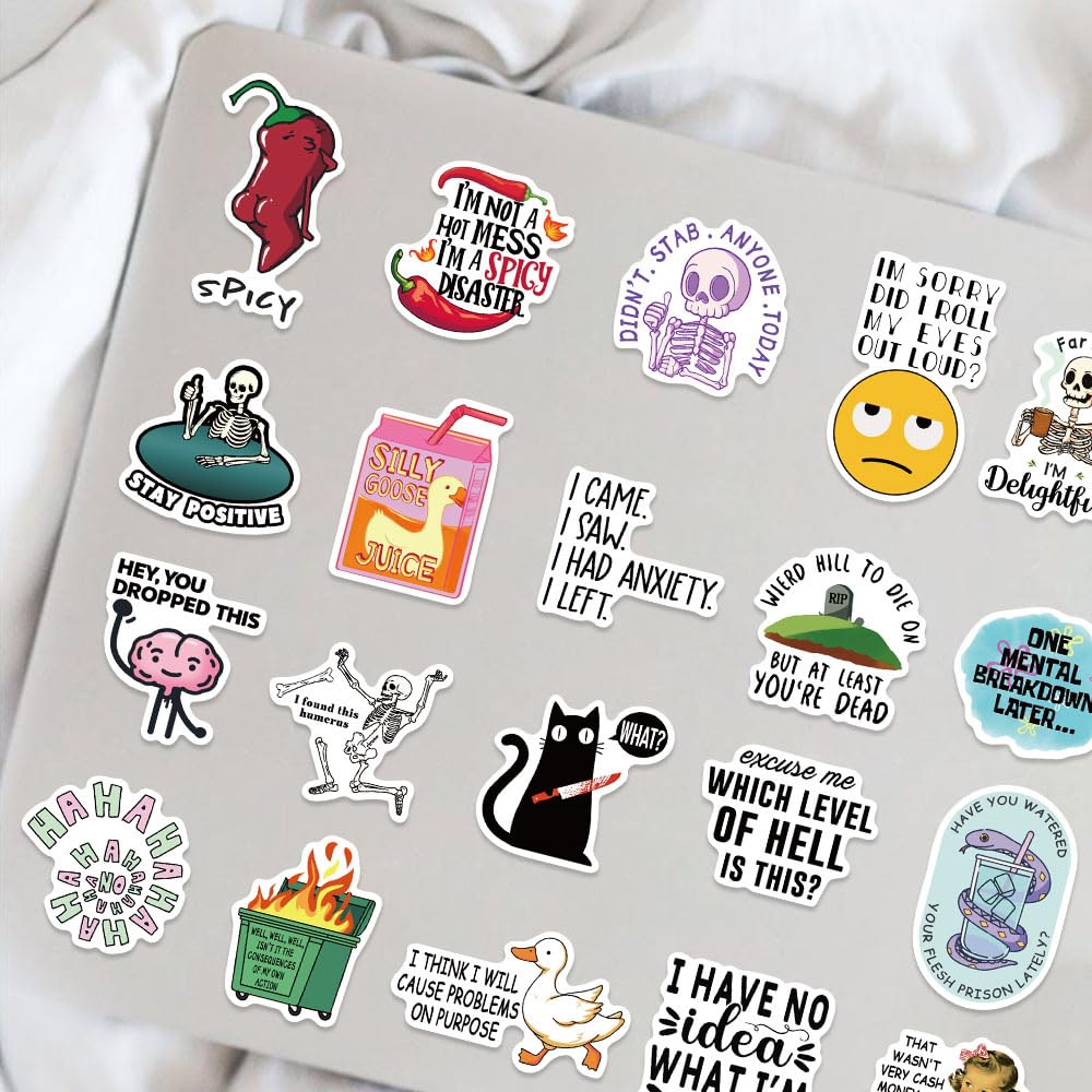 OYALAE 50Pcs Funny Adults Stickers Bulk – Waterproof Vinyl Prank Meme Decals for Laptops and Water Bottles