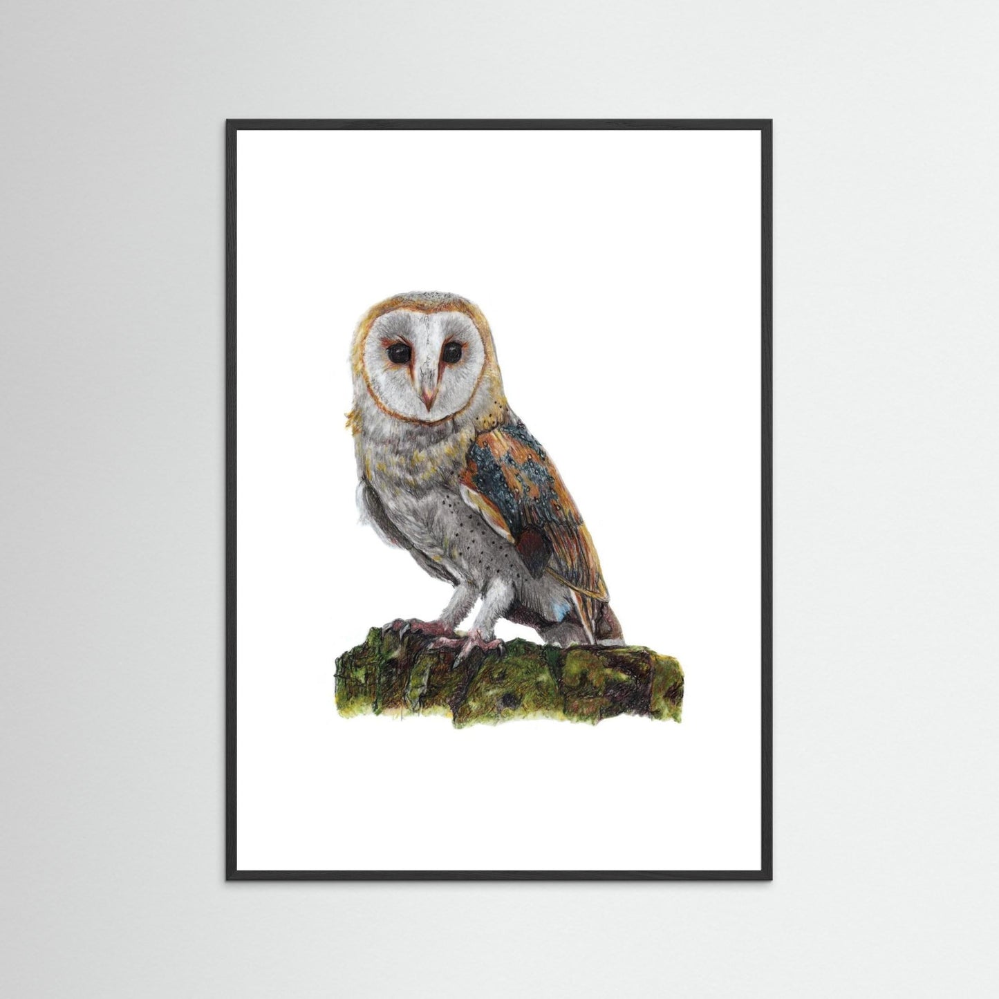 Barn Owl Wildlife Framed Art Print | British Bird Wall Art