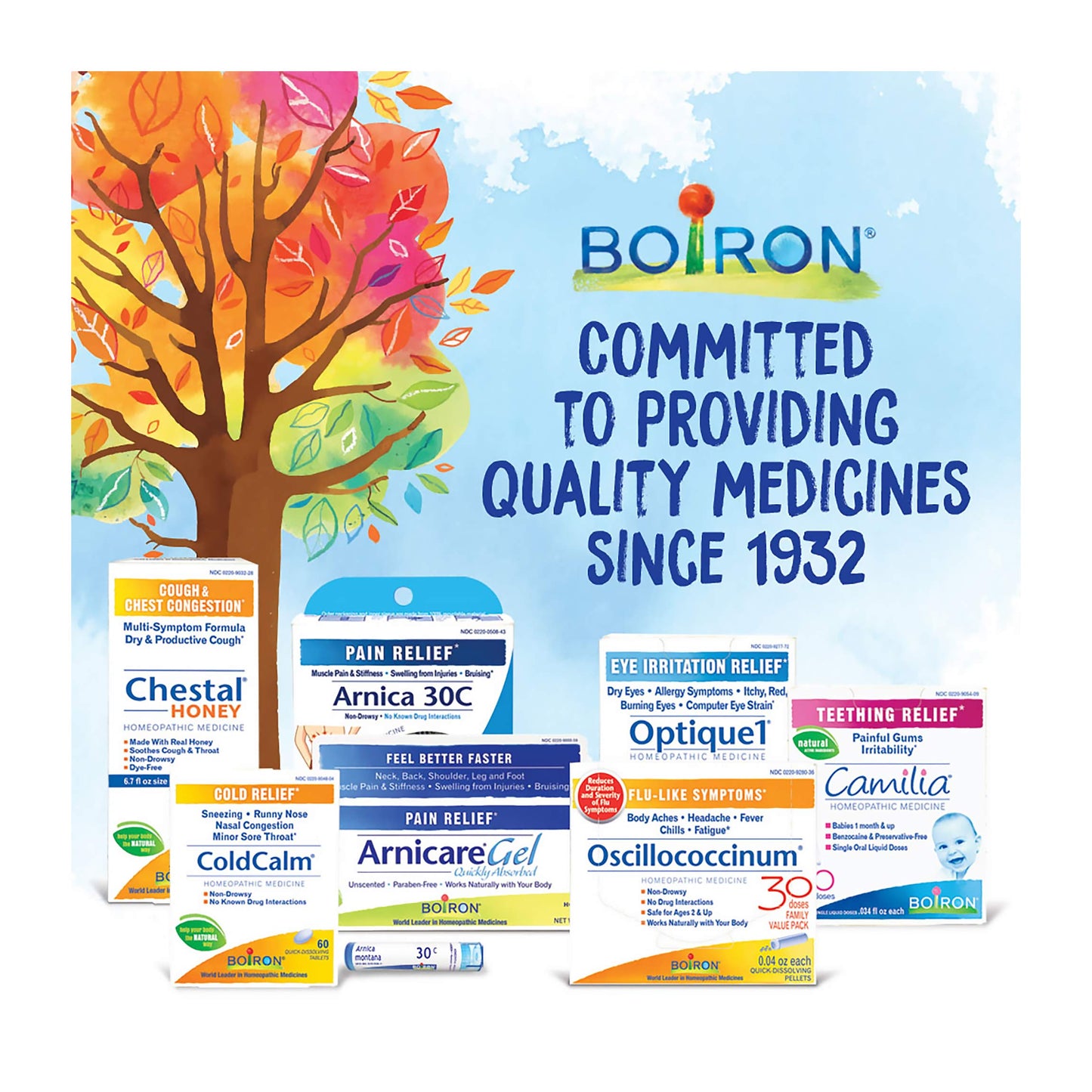 Boiron Arnica Montana 9C Homeopathic Medicine for Muscle Pain & Stiffness – Pack of 3 (240 Pellets)