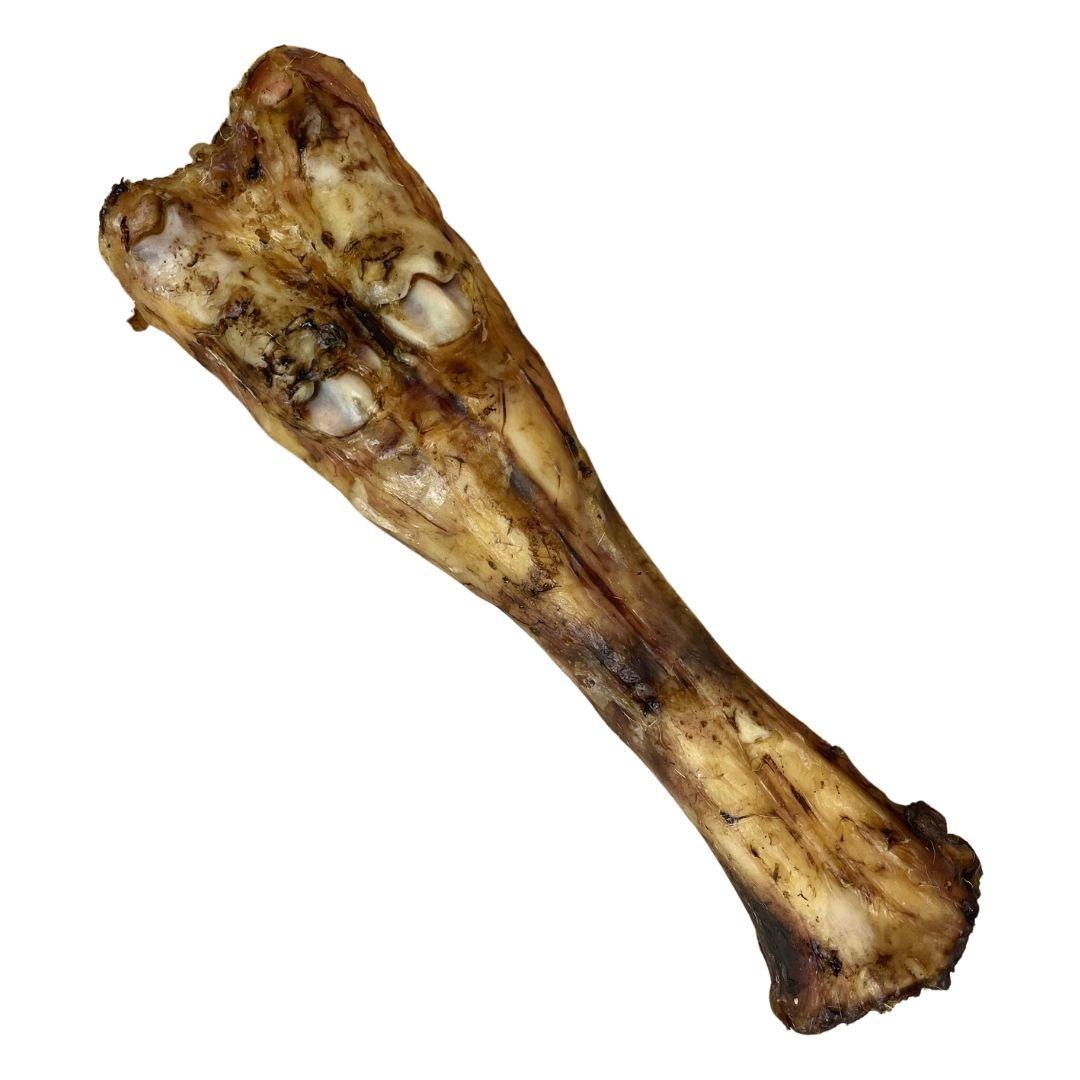 Nova Dog Chews Beef Leg Bone (Pack of 10)