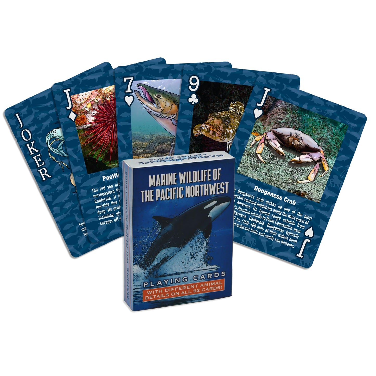 Paradise Cay Publications Marine Wildlife of the Pacific Northwest – 52 Card Deck