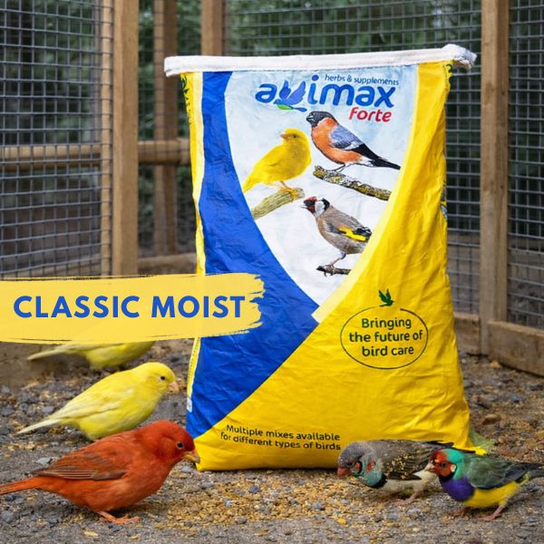 Avimax Forte Classic Moist Egg Bird Food