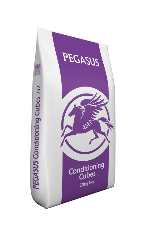 Pegasus Conditioning Cubes