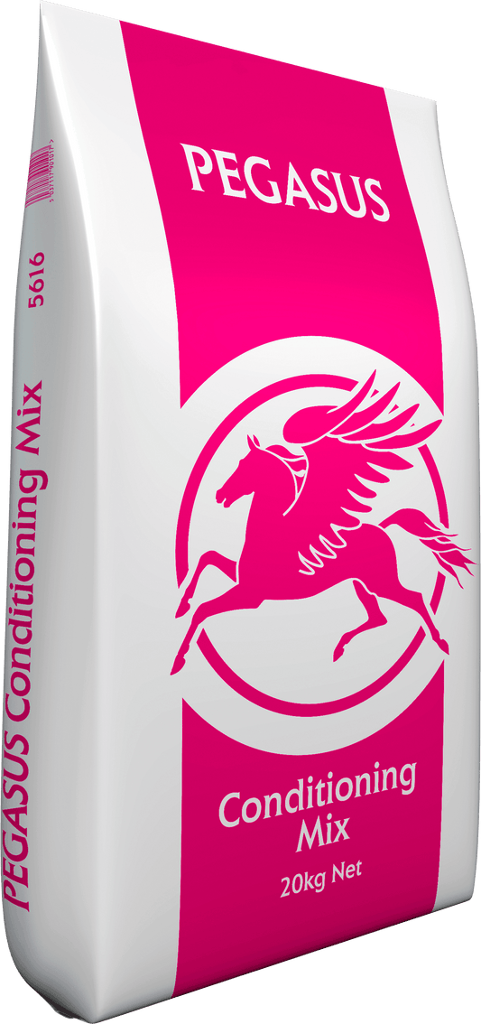 Pegasus Conditioning Mix 20kg