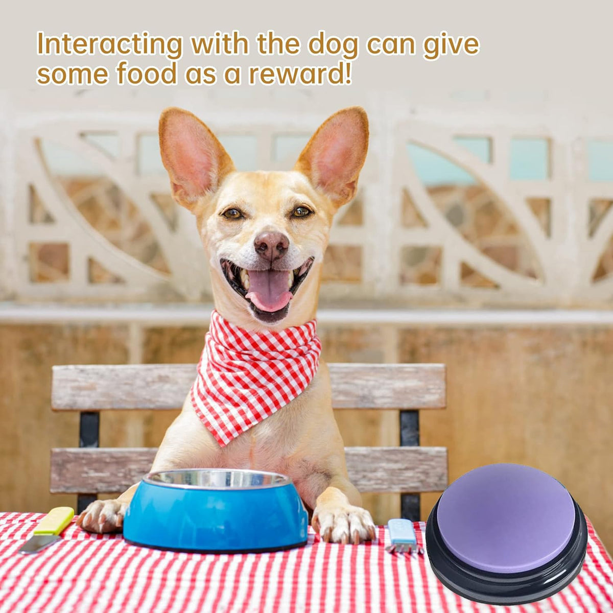PELTEFLU Voice Recording Button – 30s Pet & Family Interactivity | 4-Color Pack
