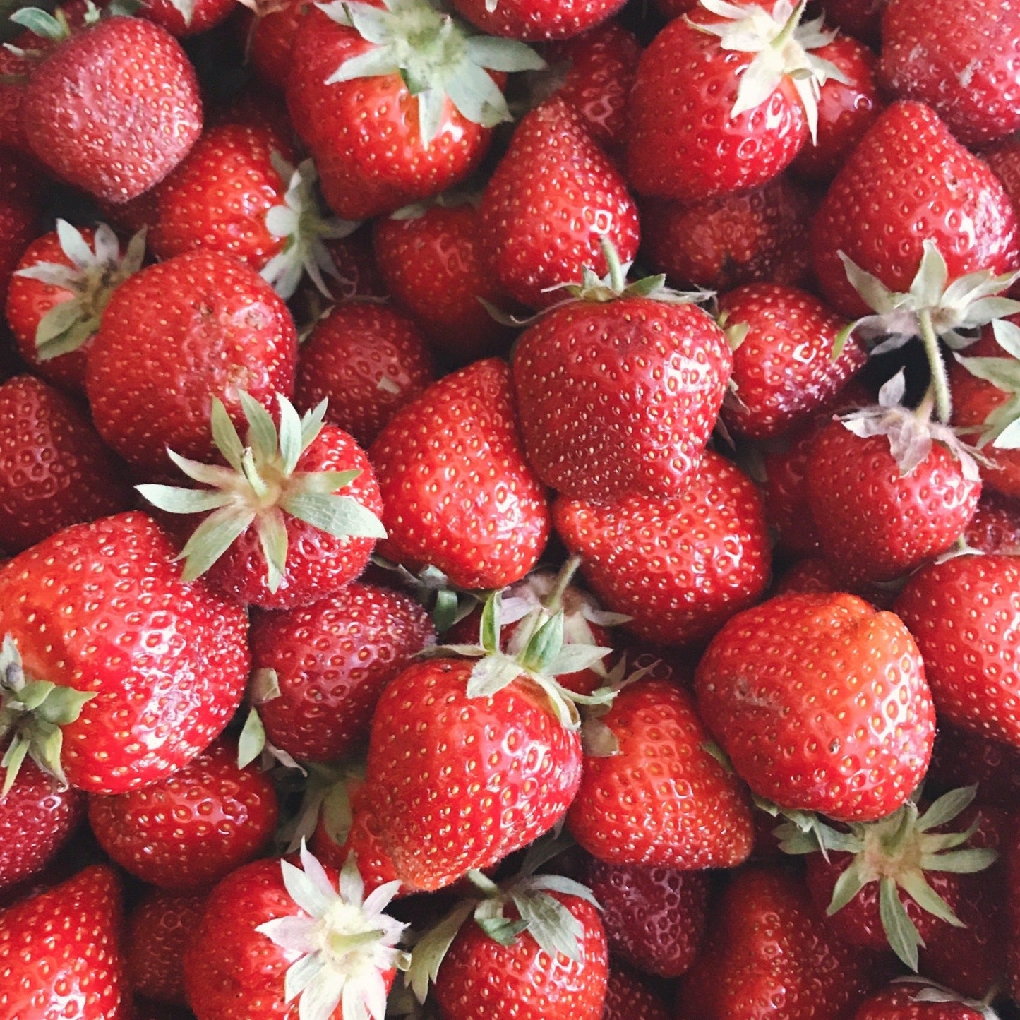 Plant Your Own - Strawberry Basket/Container