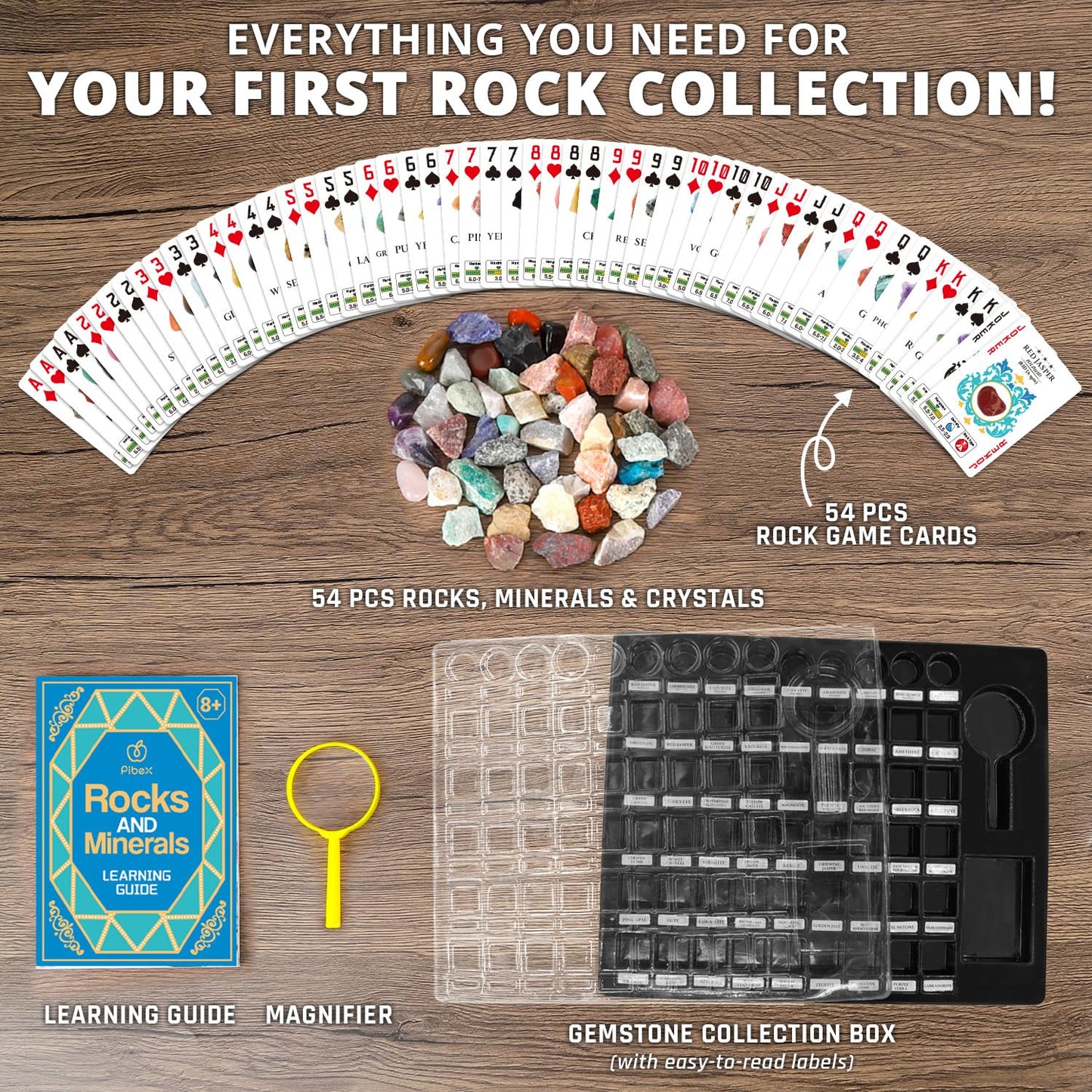 PIBEX Rock Collection Starter Kit — 54-Piece Geology Set with Cards, Guide & Display Case